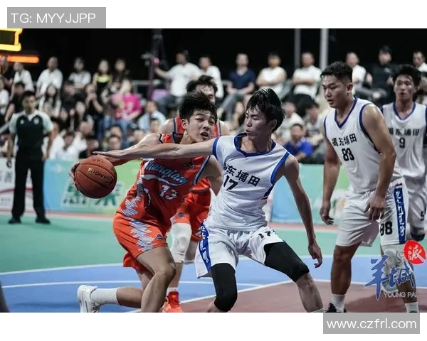 沈梓捷：从青年才俊到篮球赛场的璀璨明星之路探索与成长